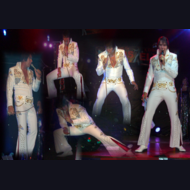 Elvis Impersonator: Tim - A Tribute To Elvis