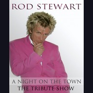 Rod Stewart Tribute Act: Dave Springfield