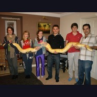 Animal Act: Reptile Life