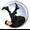 Ian Jones - Lee Evans Tribute