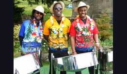 Folk, Roots & World Bands