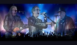 Bee Gees Tribute Bands