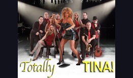 Tina Turner Tribute Acts