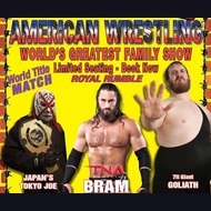 Wrestling: The American Wrestling Show