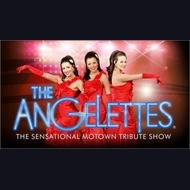 Motown Tribute Act: Angelettes