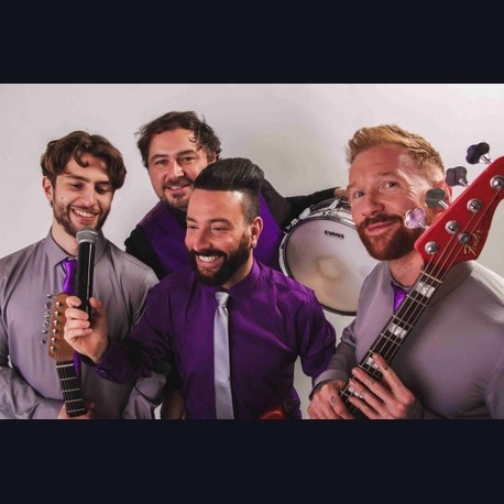 The Fireflies Party Band